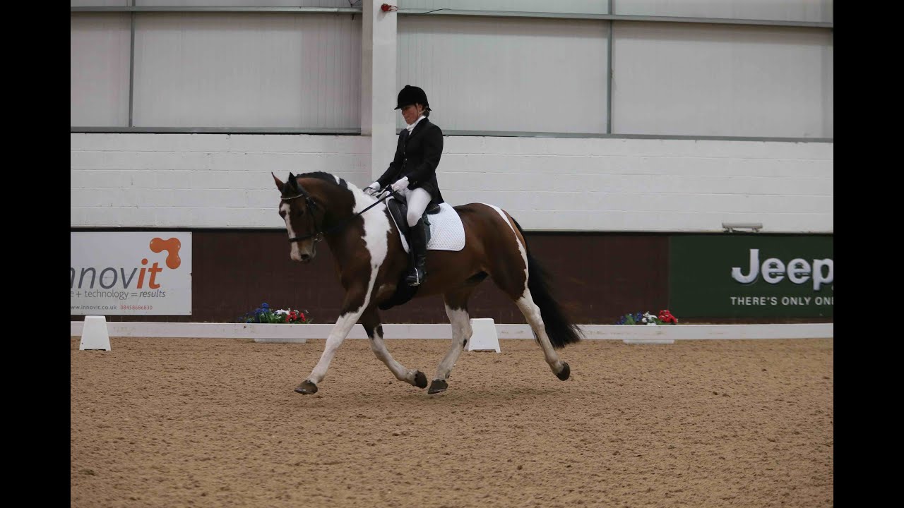 The  Verdo Horse Bedding British Riding Clubs Dressage To Music Championships