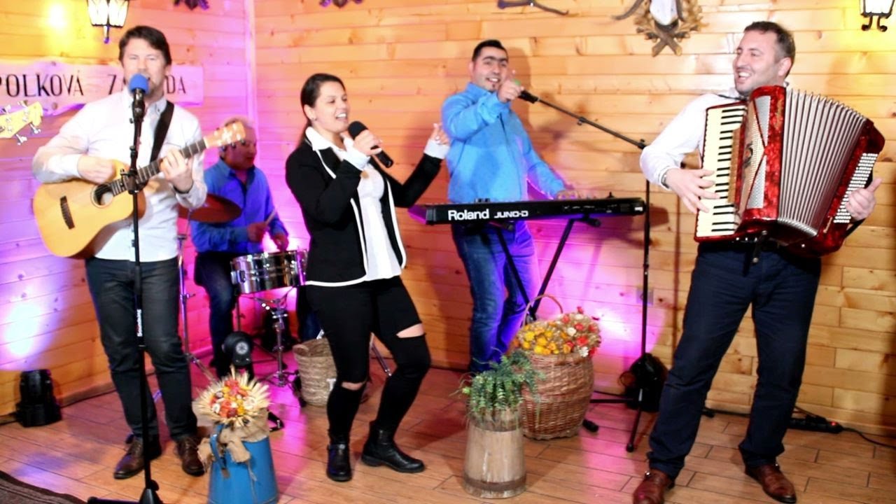HERGOTTOVCI a DAVID BAND - Cicuška