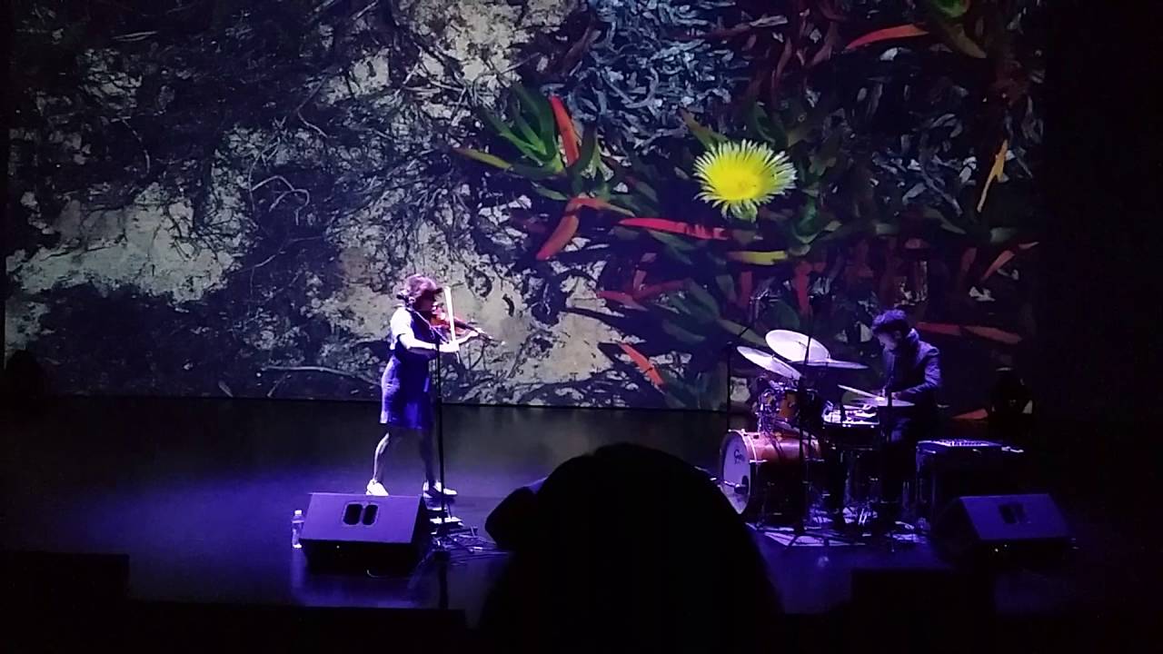 Sarah Neufeld - Hero Brother (Live)
