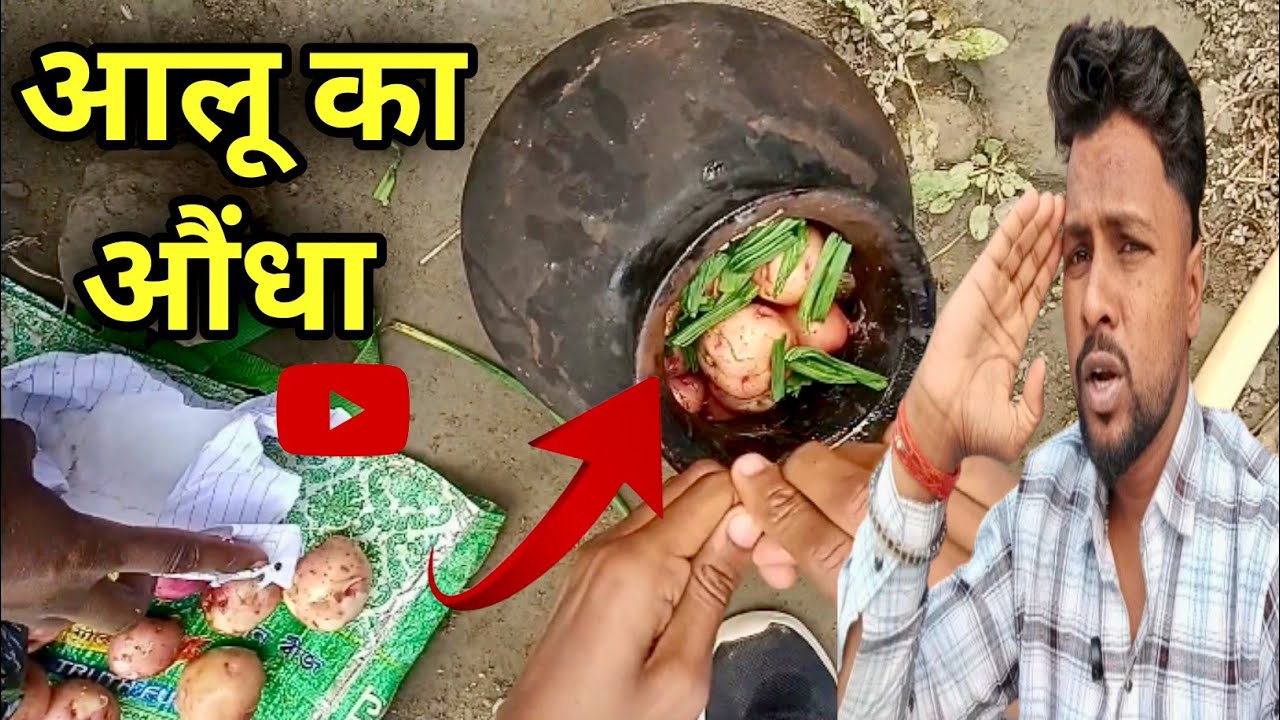 गांव में आलू का औंधा पकाया |देसी तरीका पूरा सच|gao me aalu pakane ka tarika gajab |village food vlog