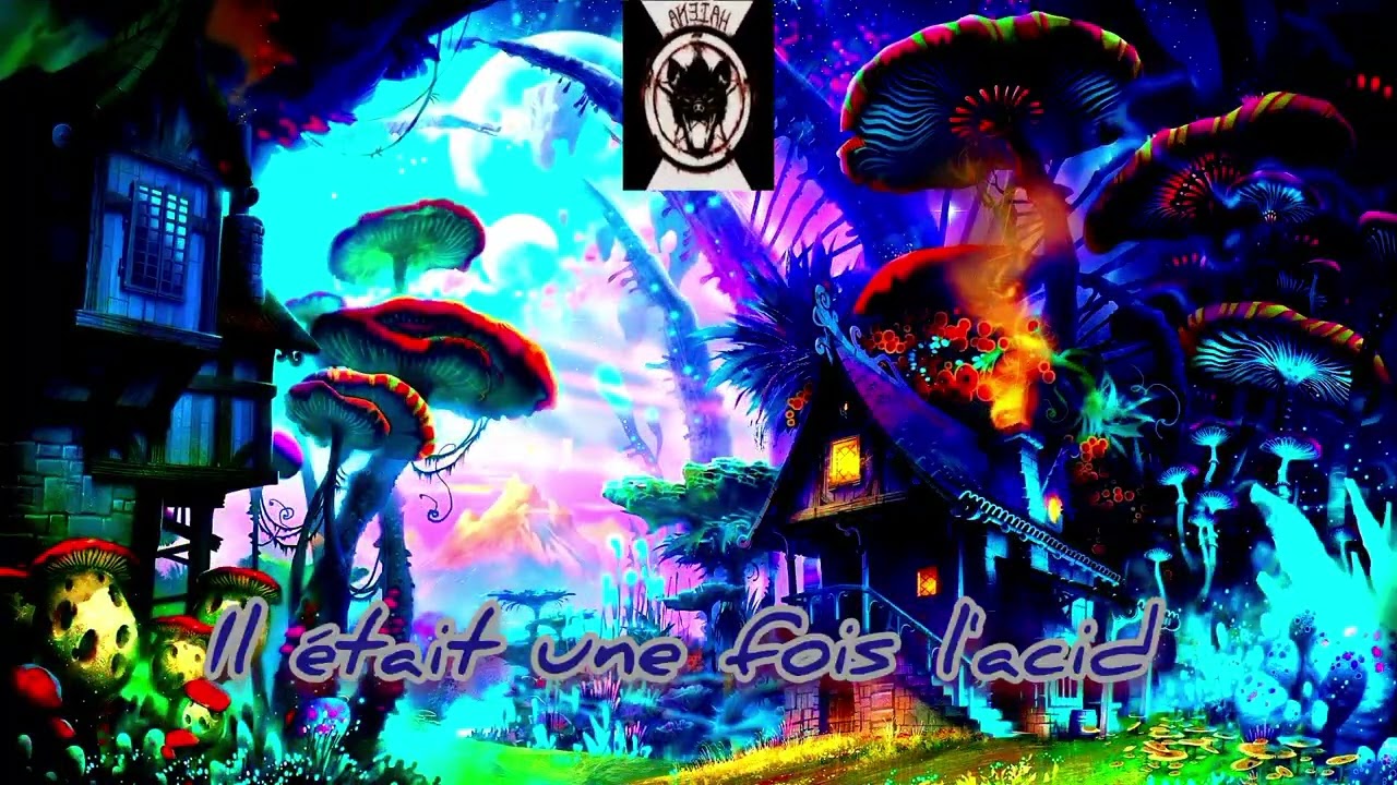Haiena - Il était une fois l'acid (acidcore)