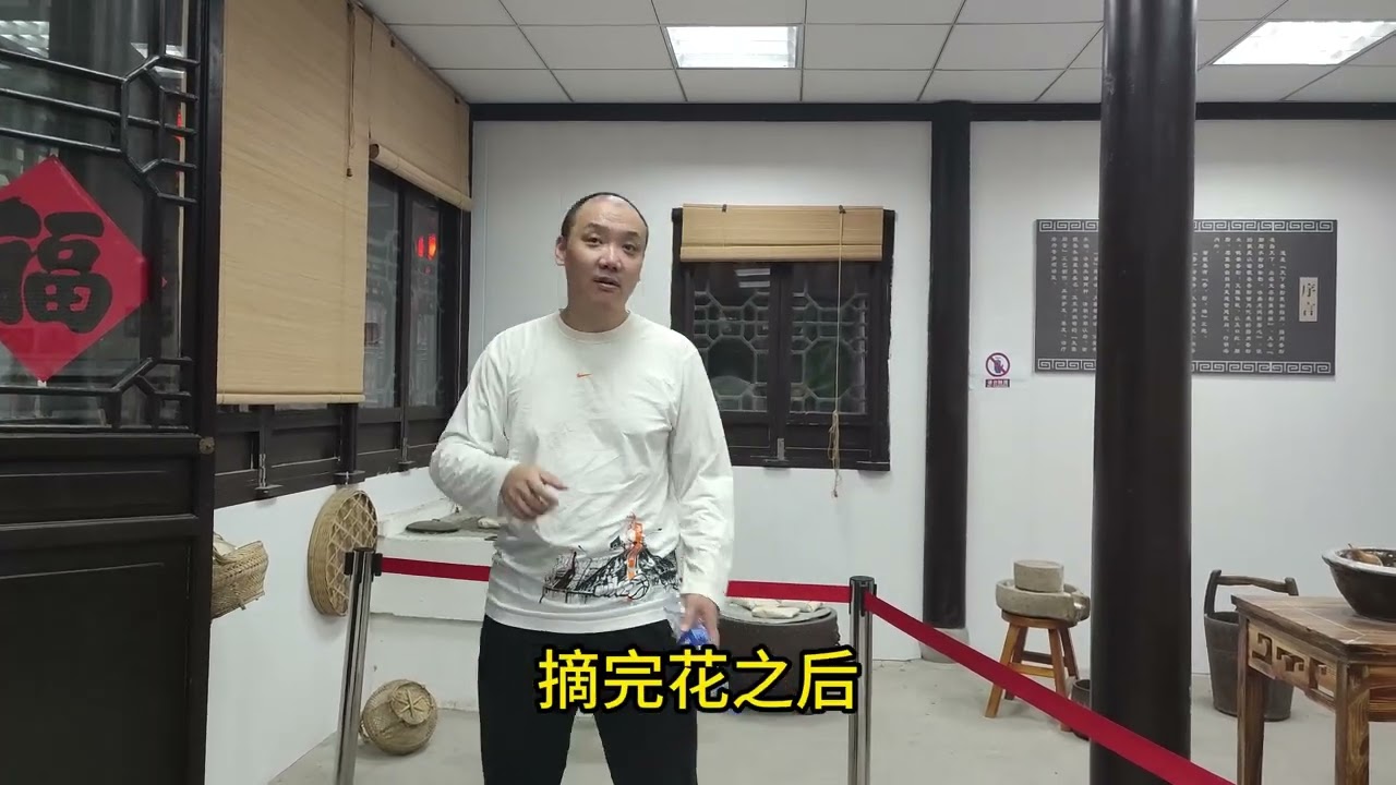 环球旅行1550集，江苏省扬州市东关街，香粉制作工艺第一步是采花