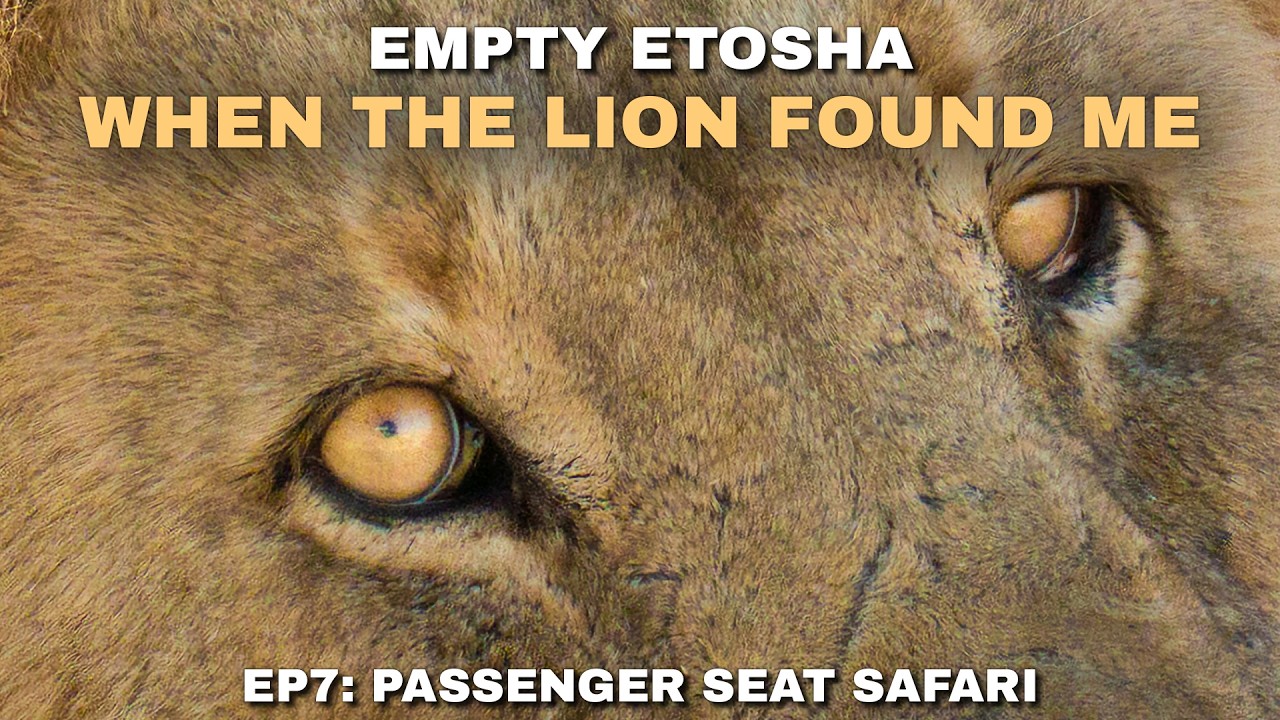 The Best Sighting Happened When I Drove Away | Empty Etosha S2:EP7