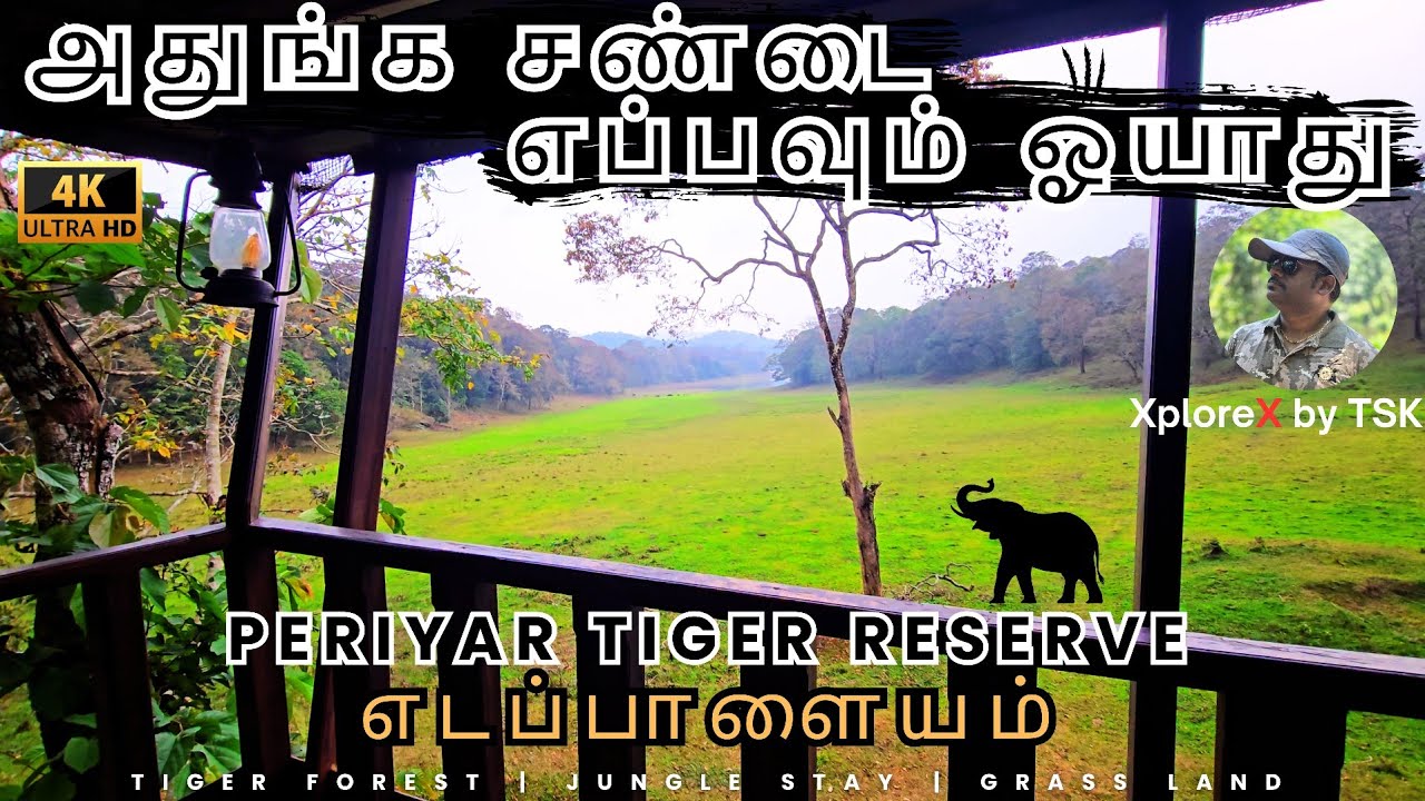 I SLEPT IN A TIGER'S DEN | Periyar Deep Jungle Watchtower Experience