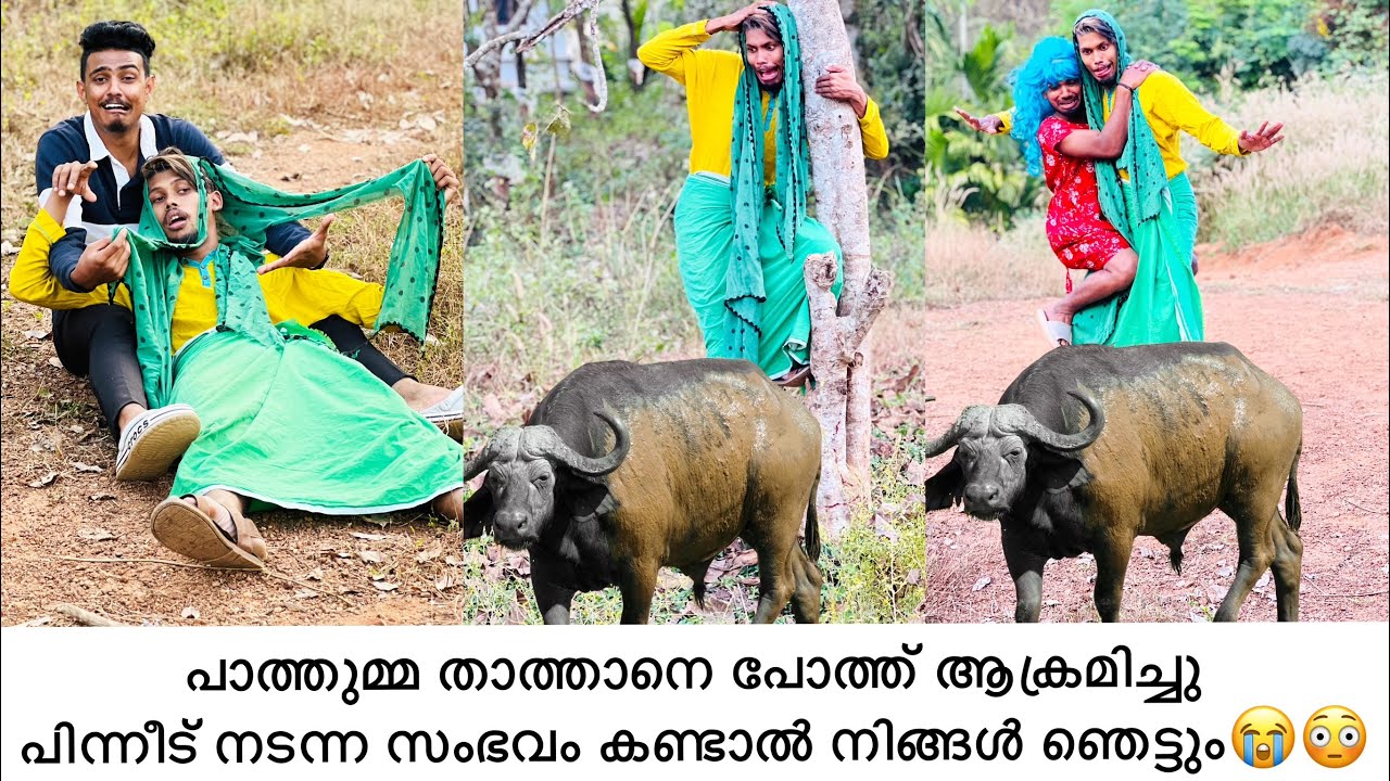 പാത്തുമ്മ താത്താനെ പോത്ത് ആക്രമിച്ചു പിന്നീട് നടന്ന സംഭവം കണ്ടാൽ നിങ്ങൾ ഞെട്ടും😭😳