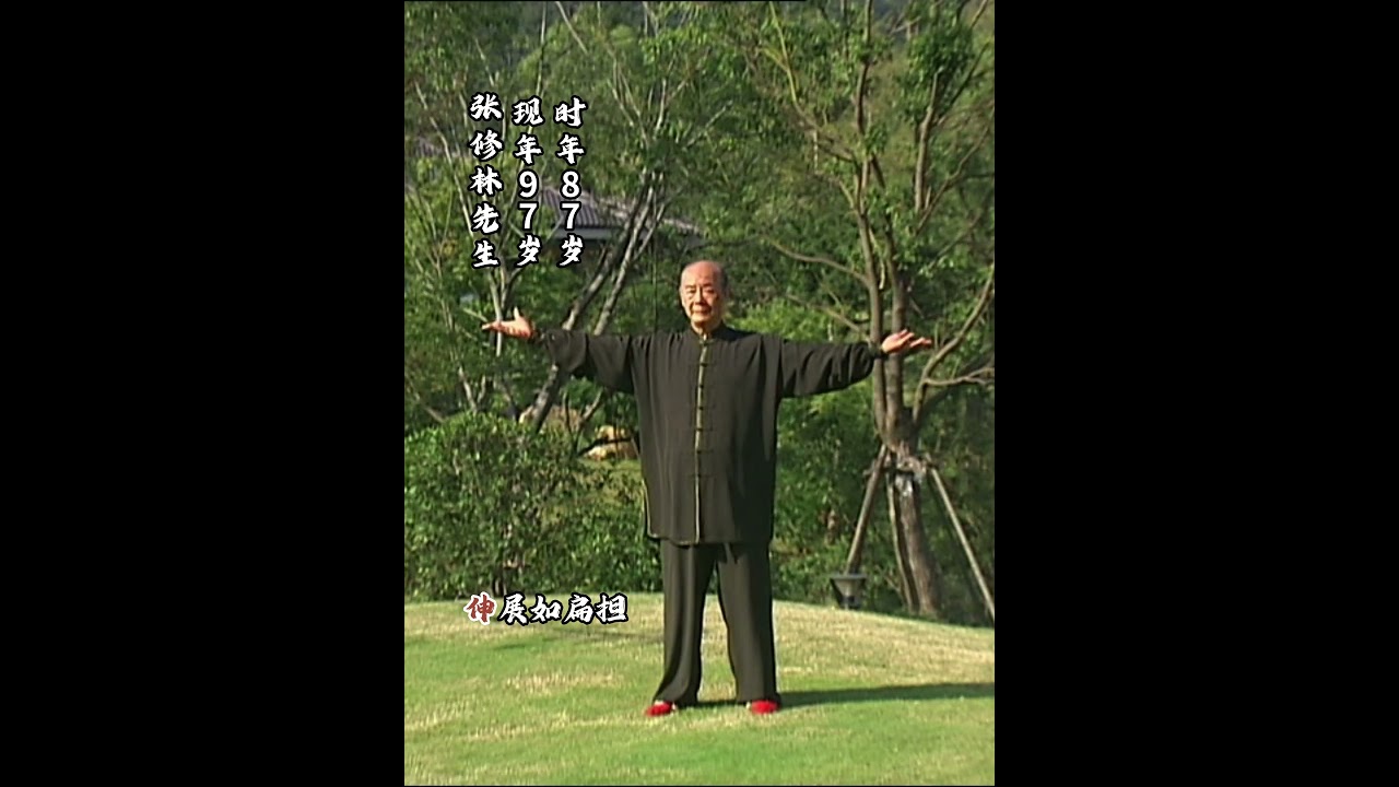 张修林先生（时年87岁 现年97岁）养生功法十三字诀 #太极拳 #kungfu #太极建#养生