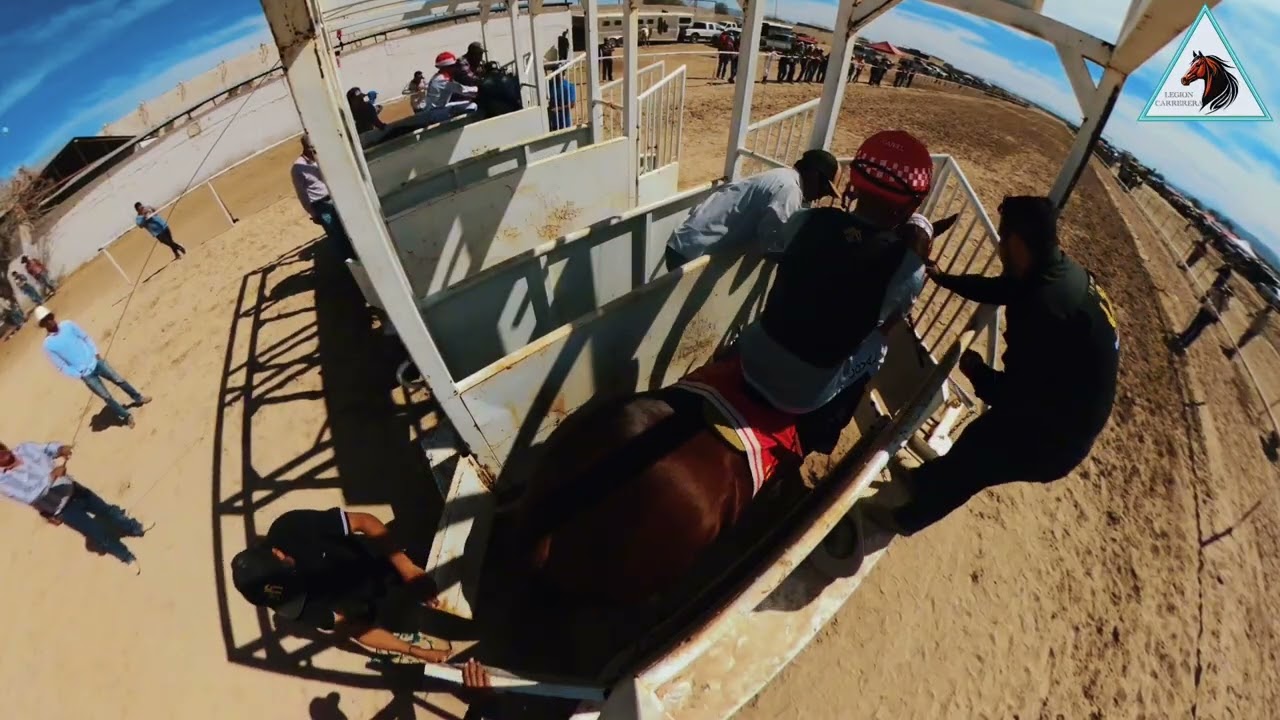 Carnicero Cuadra JRS (Debut en México ganando Vs Cuadra 2 Potrillos #caballos #carrerasdecaballos 