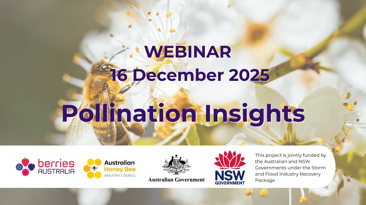161225 Pollination Insights Webinar