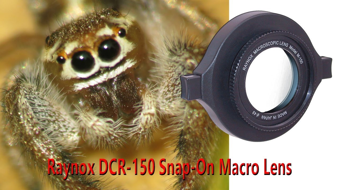 Amazing Macro With  Raynox DCR 150
