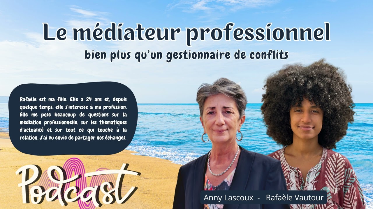 Les 3 champs de la médiation professionnelle