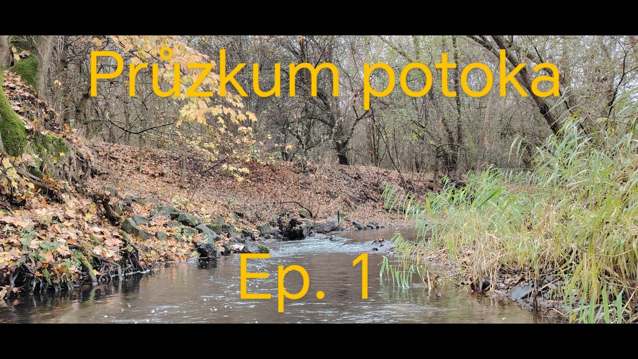 Průzkum neznámého potoka Ep.1. Skrývá potok tajemství ?