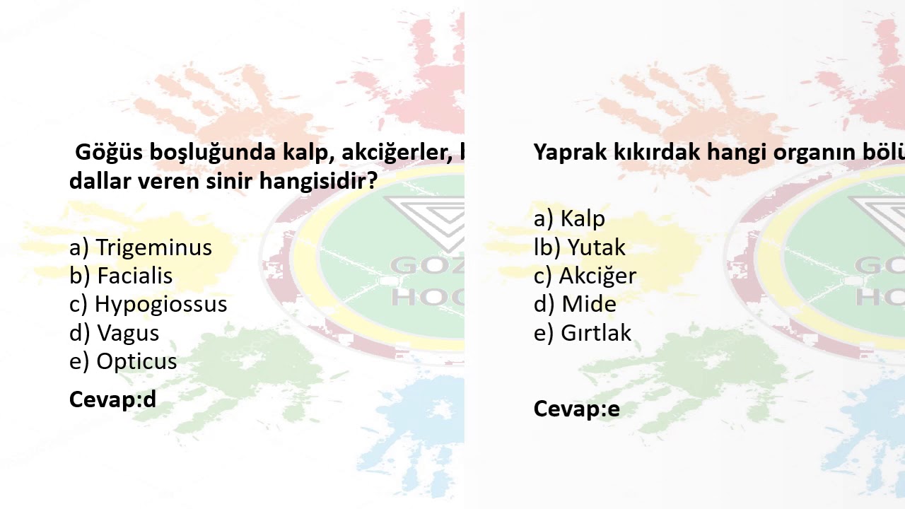 AUZEF &Ccedil;OCUK GELİŞİMİ ANATOMİ 2019 FİNAL SORULARI