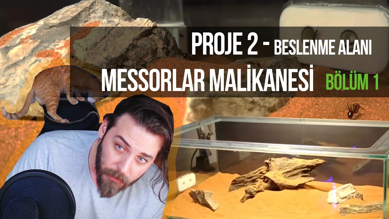 KARINCALARA KOSKOCAMAN BİR DÜNYA! - Bölüm 1