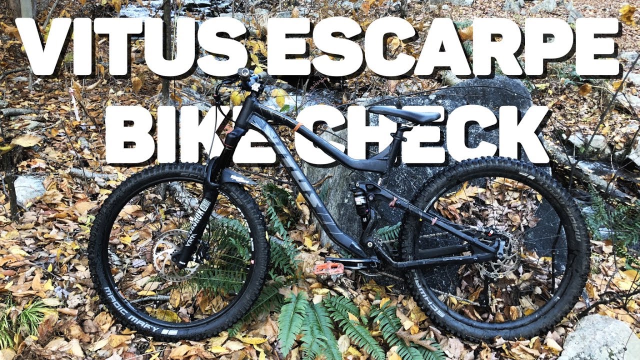 My first trail bike Vitus escarpe 29 bike check