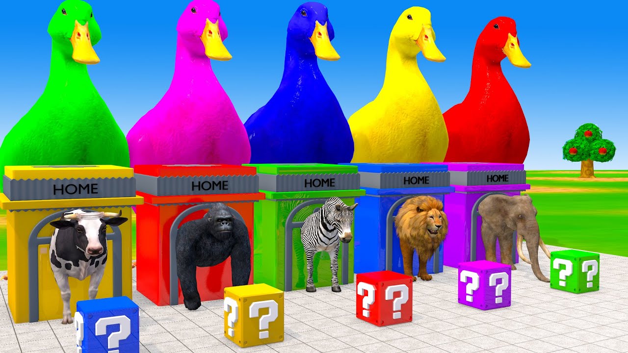 Long Slide Game With Cow Elephant Gorilla Hippopotamus Tiger - 3d Animal Game - Funny 3d Animals