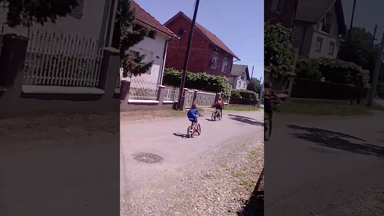 Trkači Ante i Marin