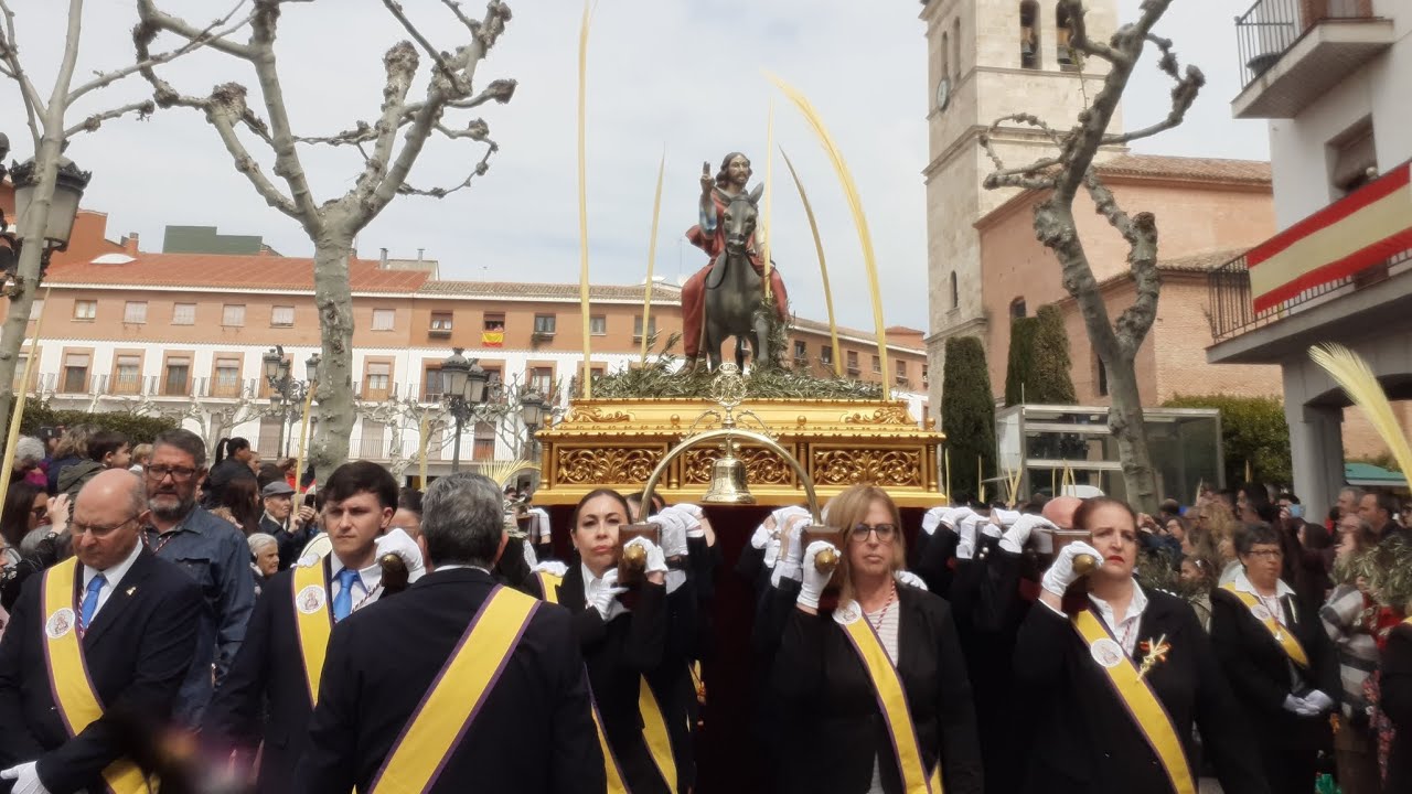 Procesión de la Borriquita Domingo de Ramos Hermandad de la Virgen del Rosario Torrejón 2025
