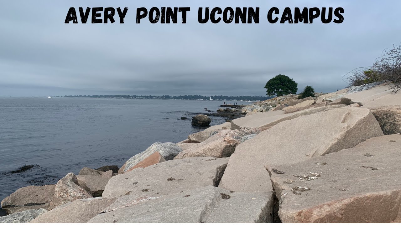 Porgy/Scup fishing Groton CT