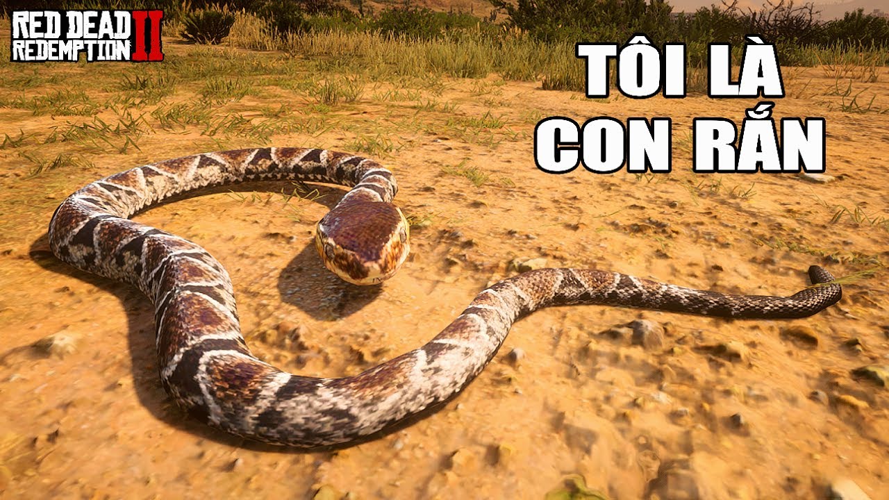 RDR2 nhưng Tôi Là RẮN KHỔNG LỒ