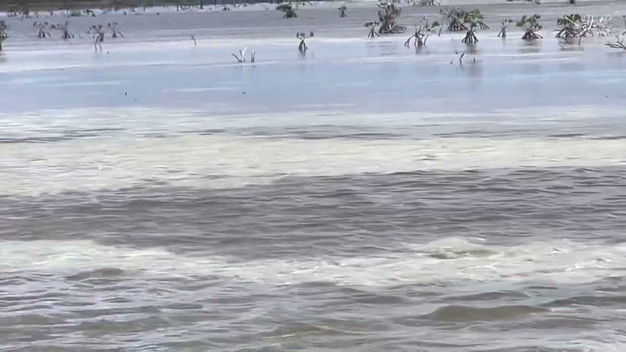 Tailing Bonefish Acklins