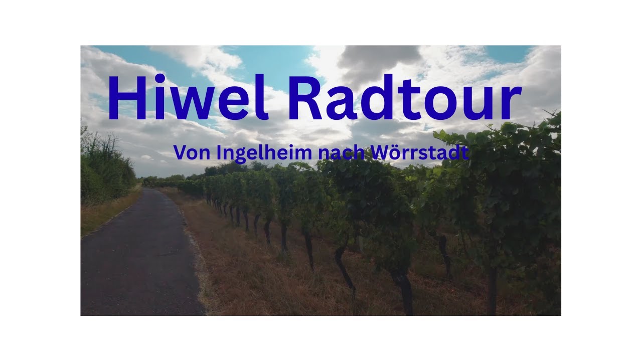 Hiwel Route. Eine Radtour in Rheinhessen.