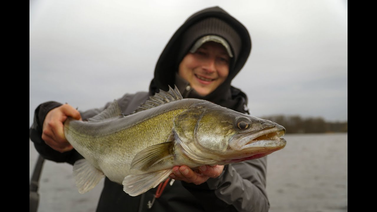 Gummifisch vs K&ouml;derfisch. So ticken Zander im Natursee!
