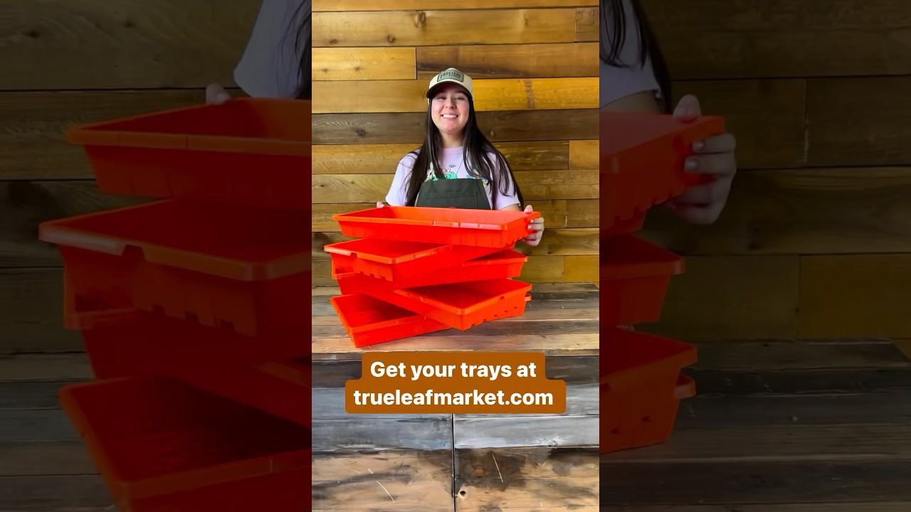 SPECIAL EDITION harvest orange 1020 heavy duty garden Tray #shorts #trueleafmarket