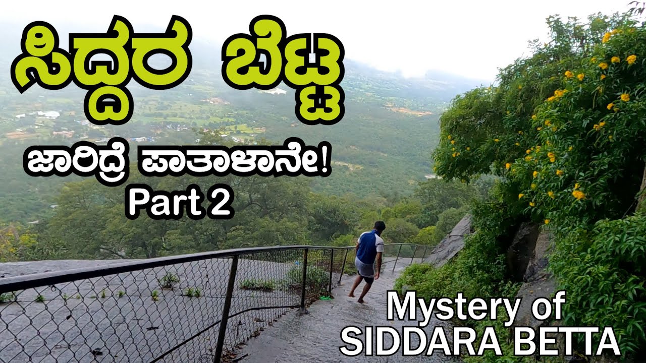 ಸಿದ್ದರ ಬೆಟ್ಟ ಇಳಿಯೋಣ ಬನ್ನಿ😂 | Part 2 - Mystery of SIDDARA BETTA | New born calf & Village tour 😉