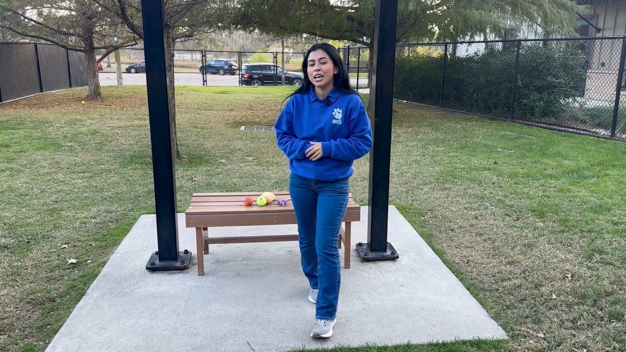 Adoption Live 1/16/2026