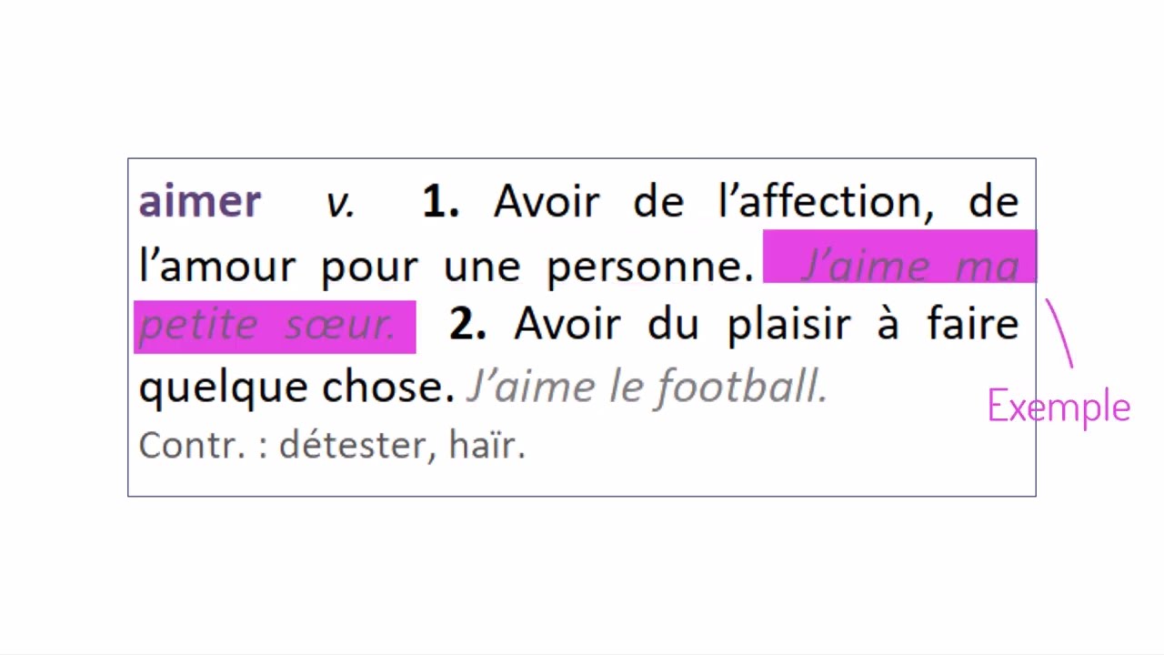 L'article de dictionnaire