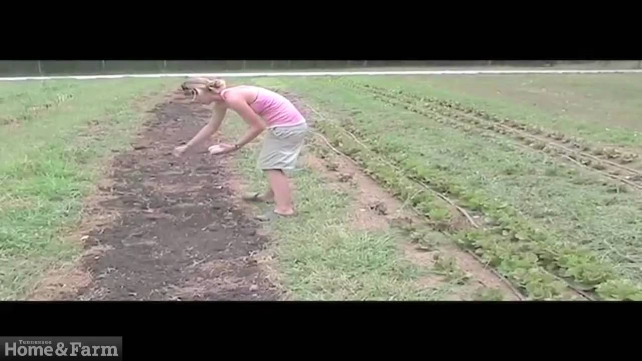 Crabtree Farms in Chattanooga