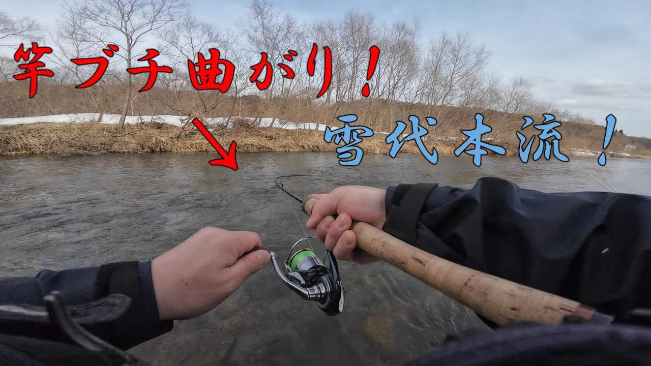 【衝撃！】雪代本流で大型トラウトが高活性界隈！【渓流ルアー】【マスラオ45ｓ】【マスラオ60s】