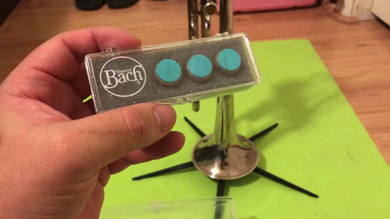 Bach Stradivarius semi precious finger button collection