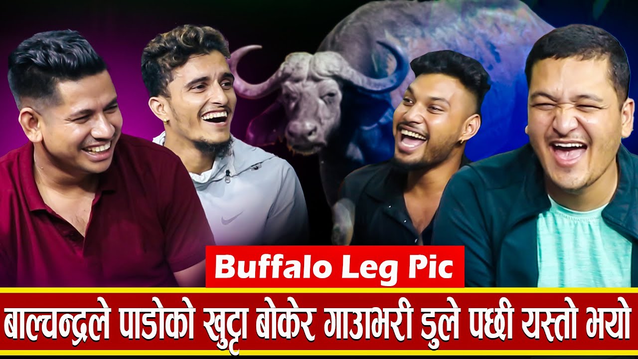 बालचन्द्रले पाडोको खुट्टा बोकेर गाउँ डुले पछी,भाले र सागरले यस्तो सम्म गरे बिल्ला शकंर भन्छन यस्तो