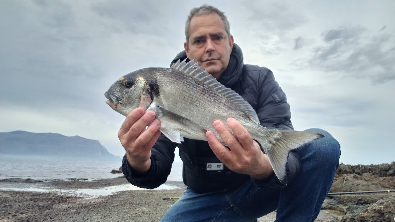 Orata di inverno, a gennaio, in pesca a rockfishing.