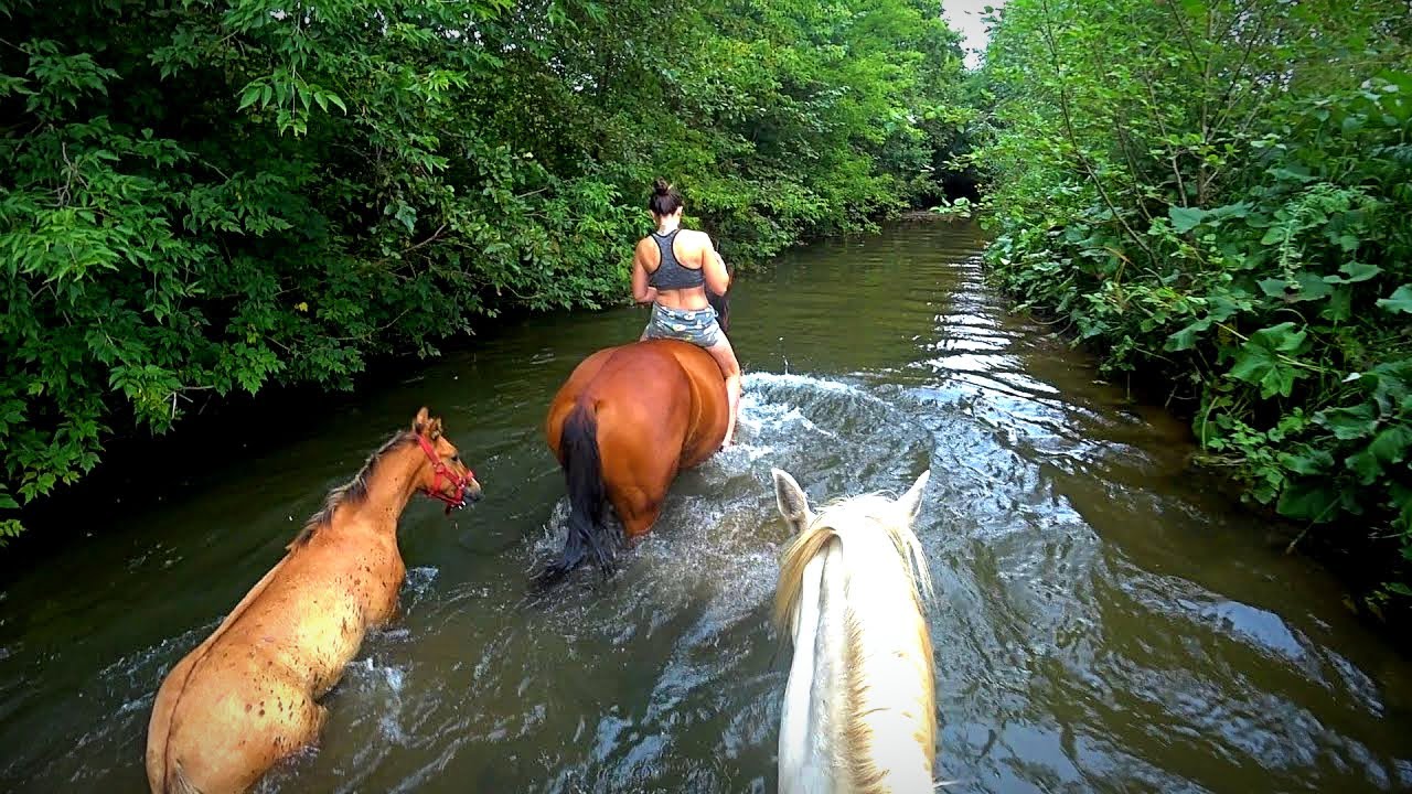 Купание и прогулка на лошадях по реке. Жеребенок в восторге. Нас не остановить