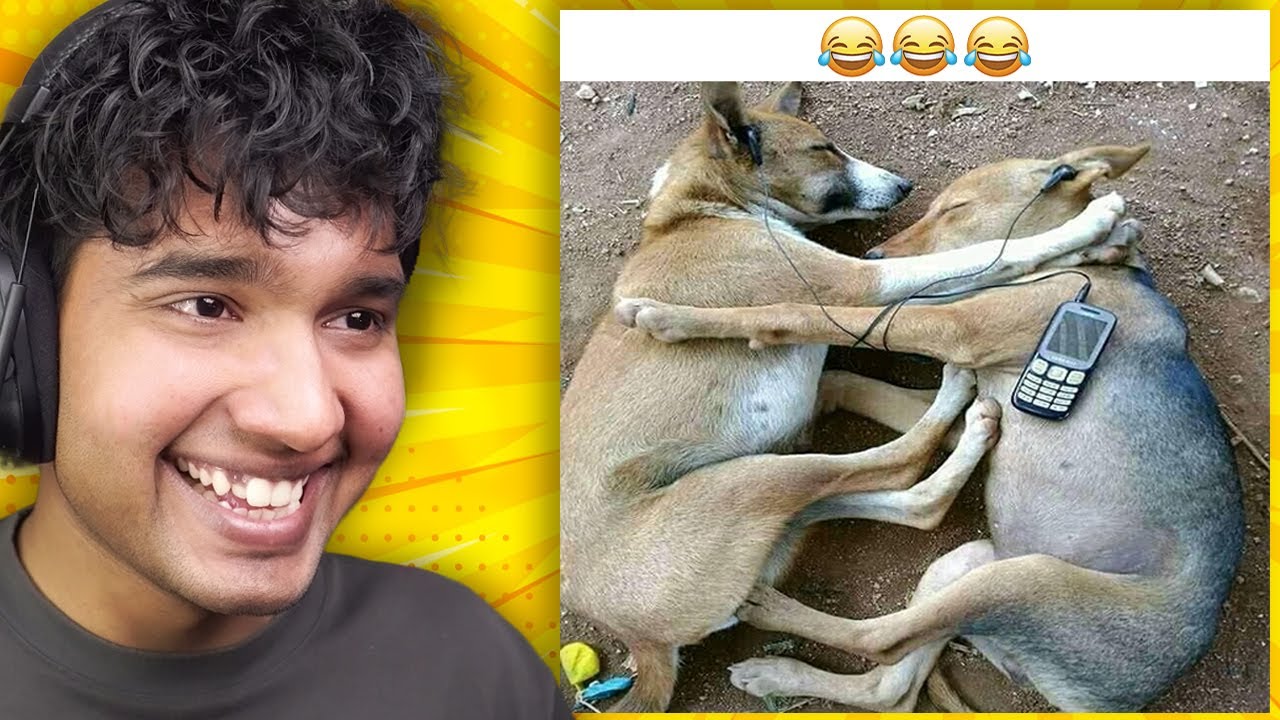 FUNNIEST SCHOOL LIFE & KIDS MEMES😂
