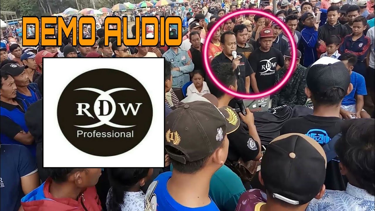 Demo Audio 
