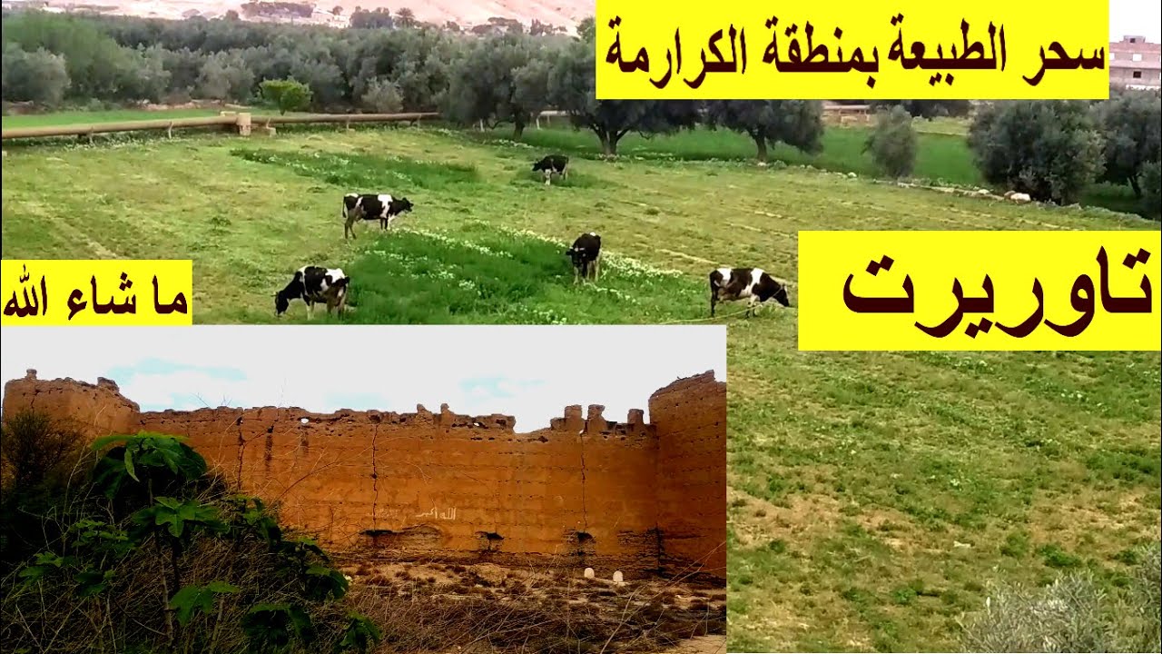 مناظر طبيعية مدهشة تجعلنا نحب الطبيعة أكثر بتاوريرت منطقة الكرارمة
