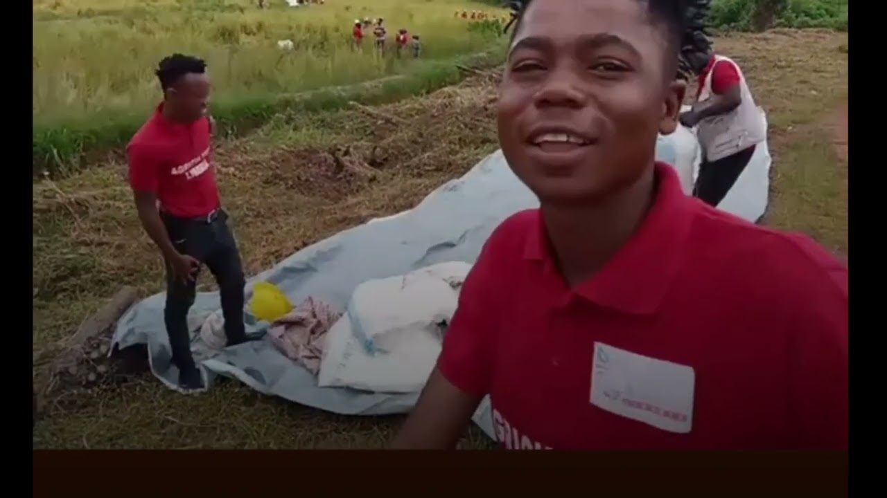 agriculture Liberia huge rice farm in Nimba County 🇱🇷🇱🇷🇱🇷🇱🇷🇱🇷 please subscribe to our channel.🙏🏽🙏🏽