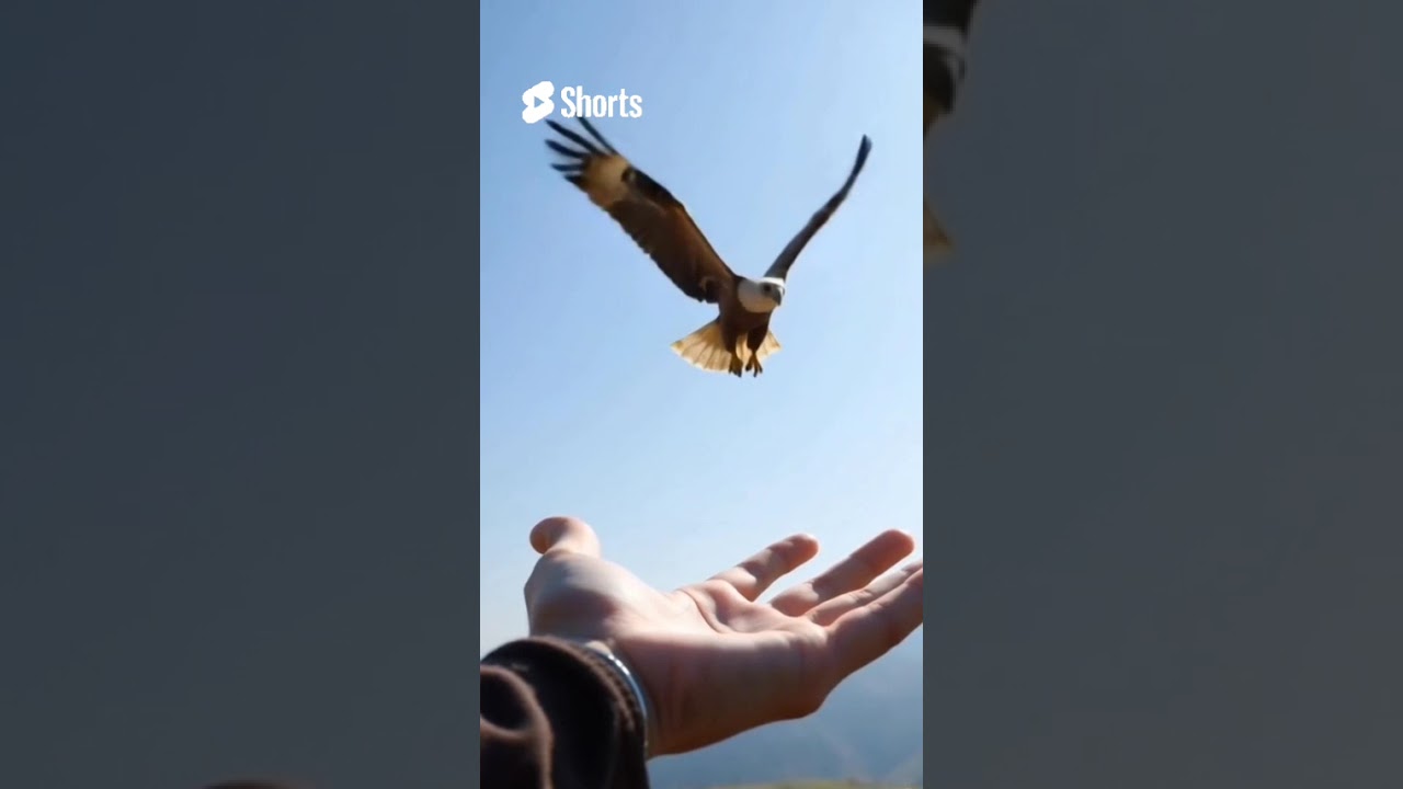 Incredible Bond with a Wild Eagle! 🦅💫