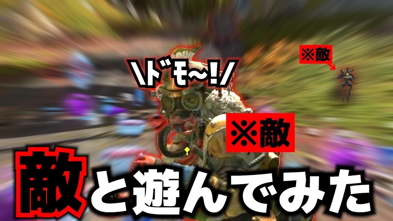 可愛い野良と遊んでたら敵も来た。【APEX】