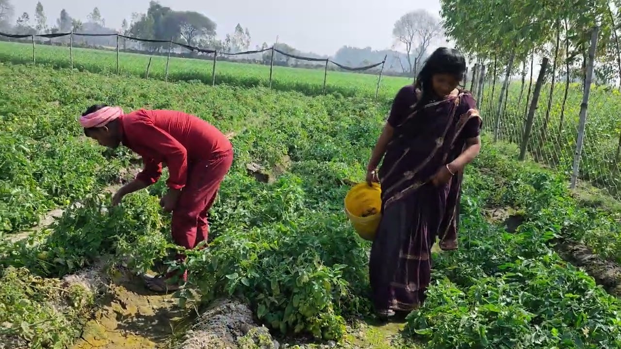माय ब्लॉक में आप सबकास्वागत है