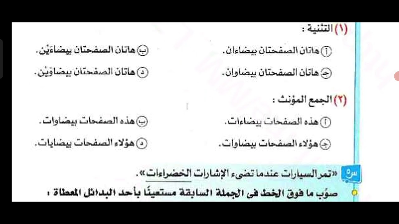 الممدود مفرد مثنى جمع اولى ثانوي كتاب الامتحان