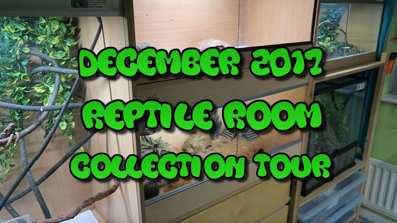 December 2017 Reptile Room Collection Tour!