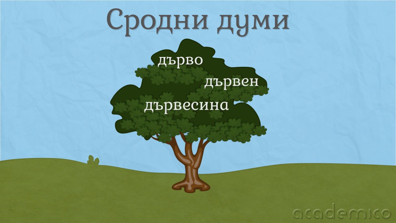 Сродни думи - Български език 3 клас | academico