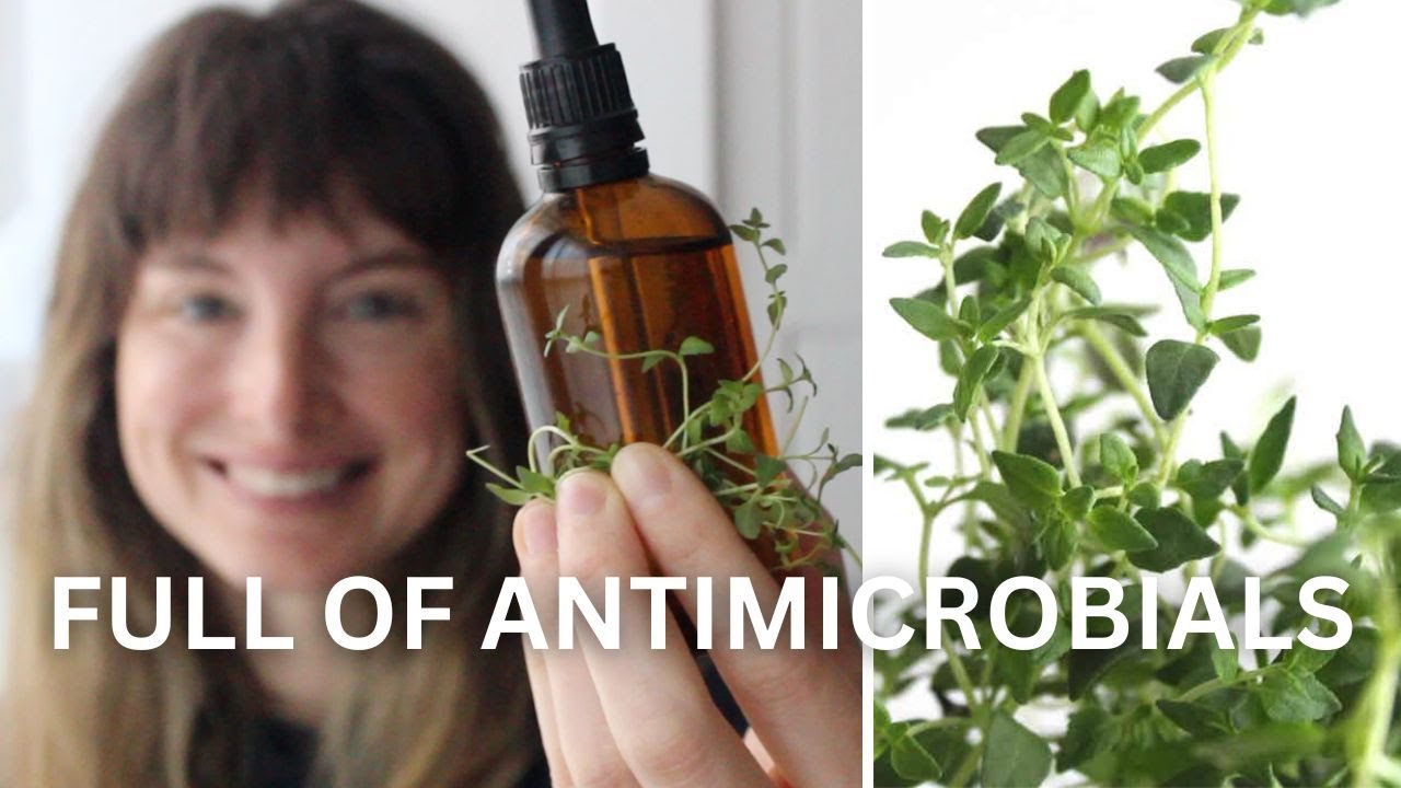 How to make thyme tincture (good for respiratory health)