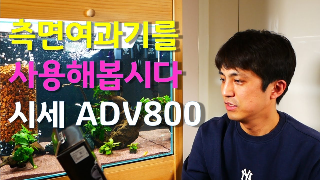 측면여과기 사용법. 시세 샤크 ADV800 구입했어요