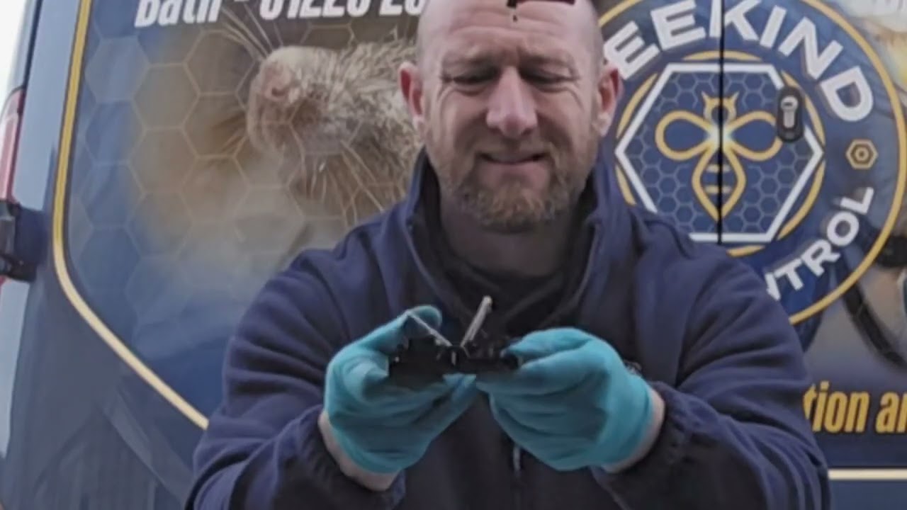 Pest control traps - Arming & Disarming + what animal they are used for.