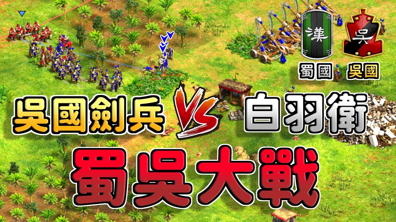 【世紀帝國2決定版】吳國劍兵大戰蜀國白羽衛！吳國劍兵在城堡時代能有奇效嗎？【CC字幕】《吳國 vs 蜀國》